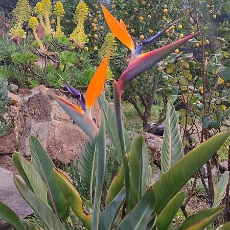 Villa Boheme Costa Brava Calonge  Zewnętrze zdjęcie
