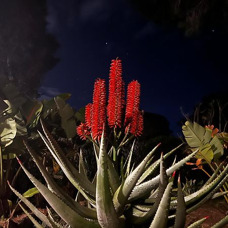 Villa Boheme Costa Brava Calonge  Zewnętrze zdjęcie