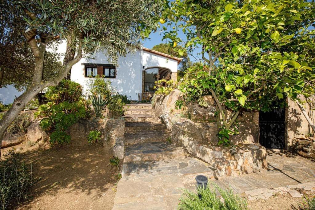 Villa Boheme Costa Brava Calonge  Zewnętrze zdjęcie
