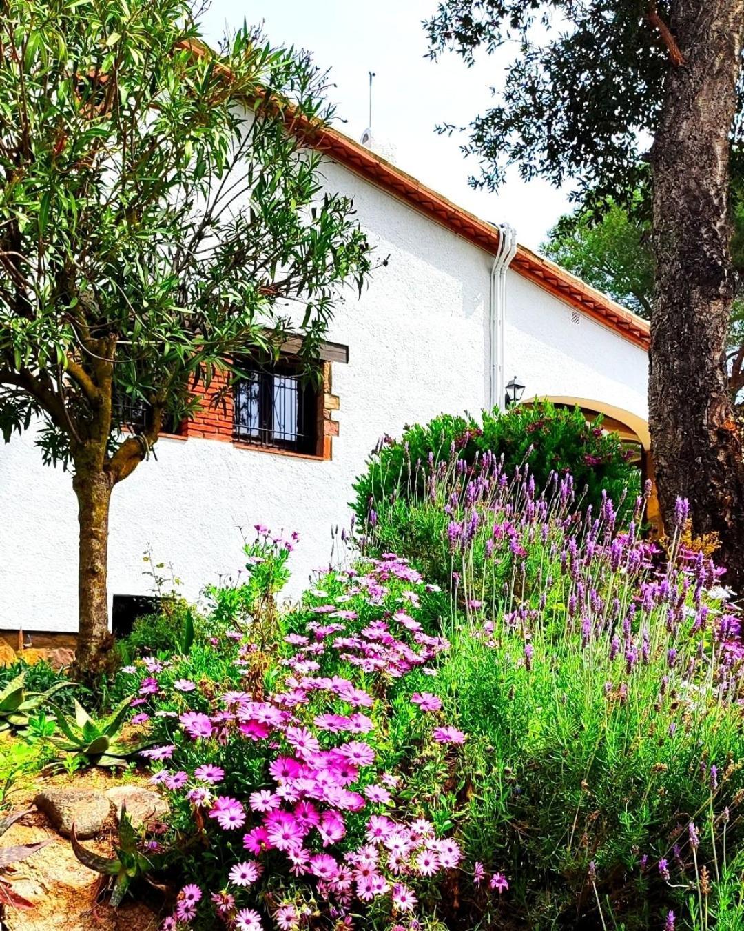 Villa Boheme Costa Brava Calonge  Zewnętrze zdjęcie